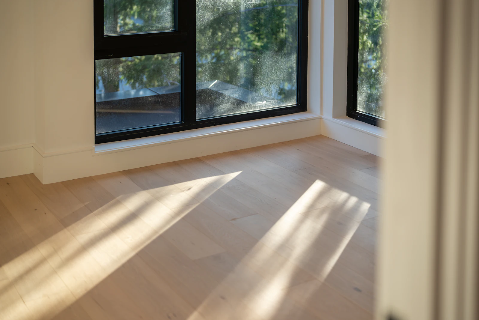 Low sunlight raking across pale hardwood floorboards